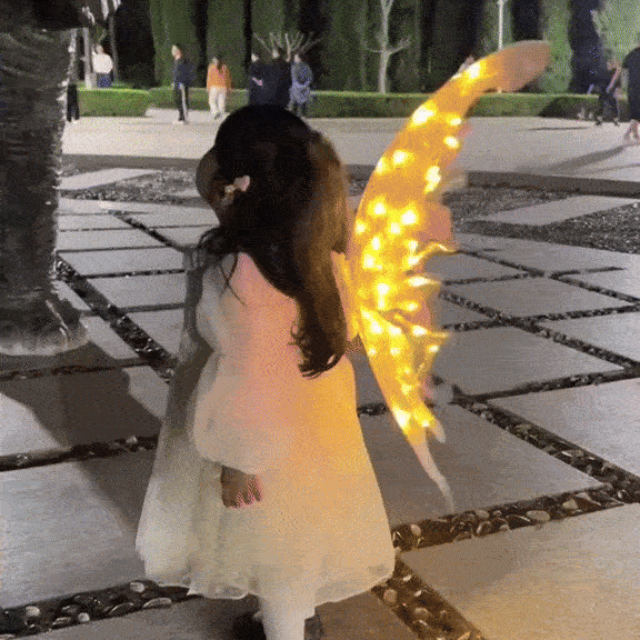 Svetleća krila za male princeze