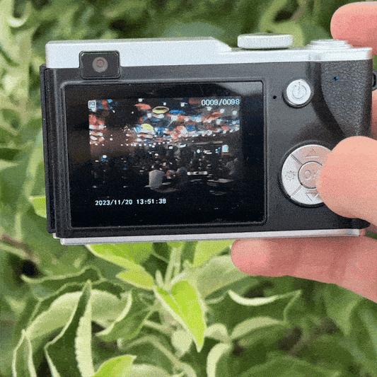 digitalni retro fotoaparat iz 2000ih + poklon eBook za dodatno editovanje slika